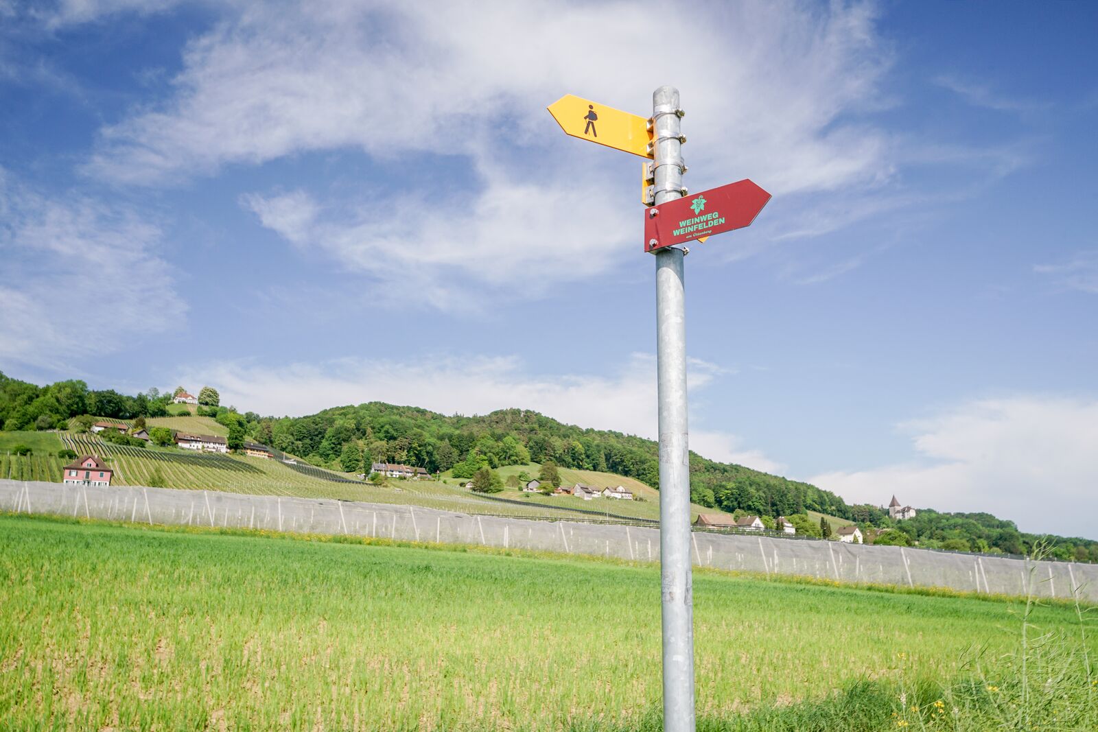 Wegweiser des Weinwegs Weinfelden in der Landschaft